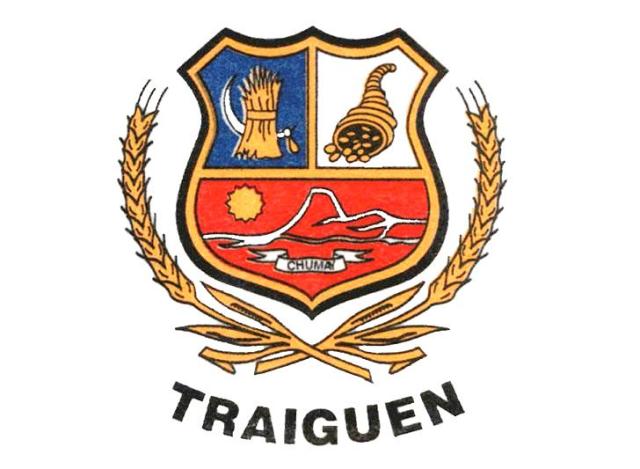 Concejales Electos en Traiguén