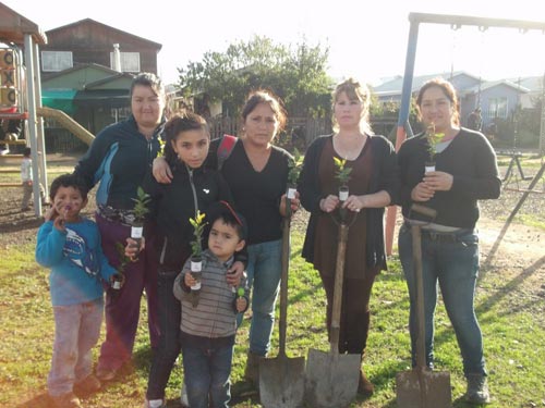 Plantación de Olivillos en plaza sector Renacer-Frontera, TrayenKultura y Geobosques Empresa
