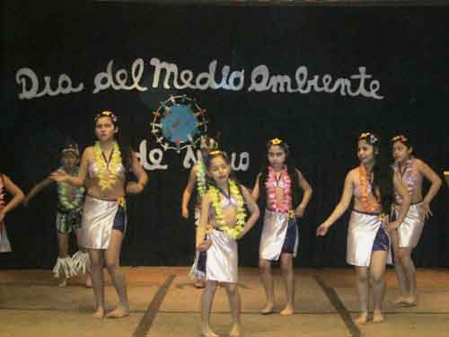 Día del Medio Ambiente se celebró en Traiguén