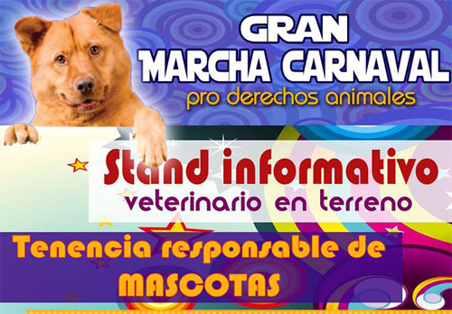 Gran Marcha Carnaval Pro Derechos de los Animales en Traiguén