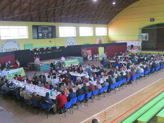 Celebración en el Mes del Adulto Mayor en Traiguen