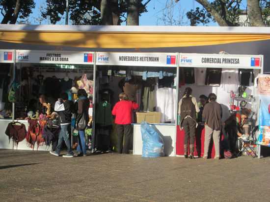 Todo un Éxito Resultó la  Expo-Pyme 2013 en Traiguén