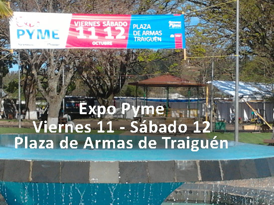 Comunas de Malleco tendrán su propia ExpoPyme 2013 en Traiguén