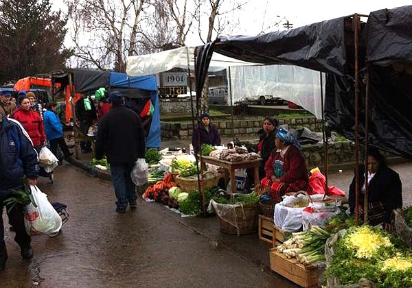 Este Miércoles 30 de Diciembre Funcionara la Vega y la  Feria de las Pulgas en Traiguén