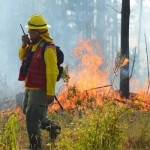 incendio feoreatl
