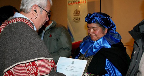 Contraloría detecta sobreprecio en venta de terrenos de Traiguén a Conadi