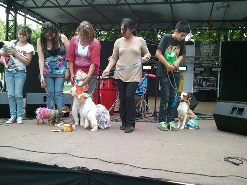 Concurso el «Perro más Fashion» se realizo en Traiguén