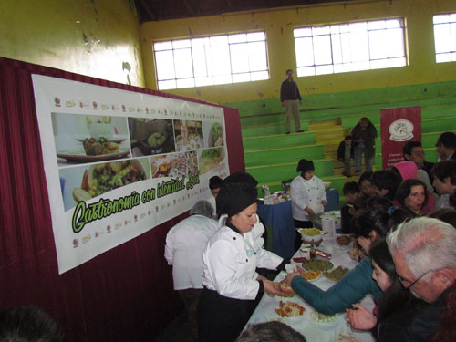 Se Efectuó una Exitosa «1ª Feria Del Merkén» En Traiguén