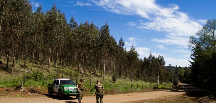 Desalojo de predio en Traiguén terminó con tres mapuche heridos de gravedad