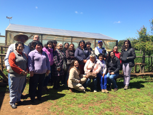 Agricultores De Purén Visitan Unidades Demostrativas De Tecnología En Traiguén