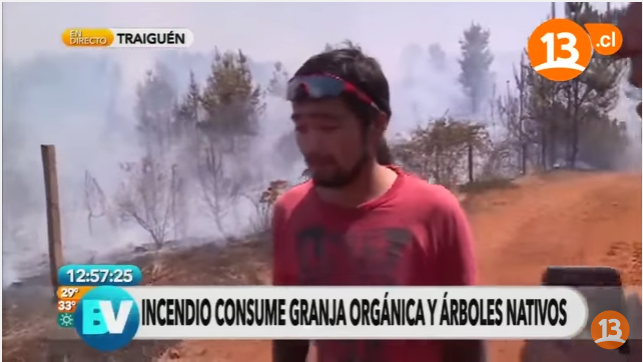 Nota Canal 13 TV Sobre Incendio en Granja Ecológica Sector Santa Fany  en Traiguén