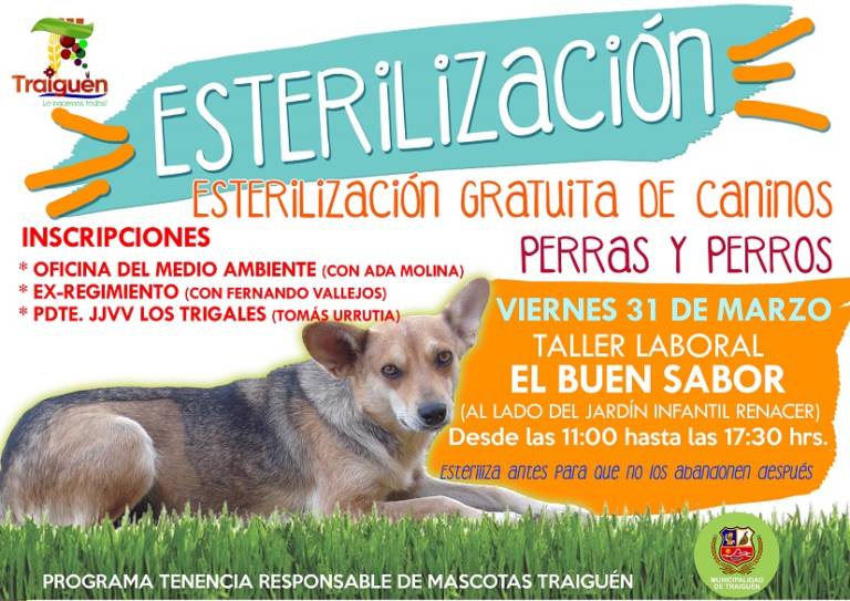 El Viernes 31 de Marzo Continua Campaña Gratuita de Esterilización Canina Municipal