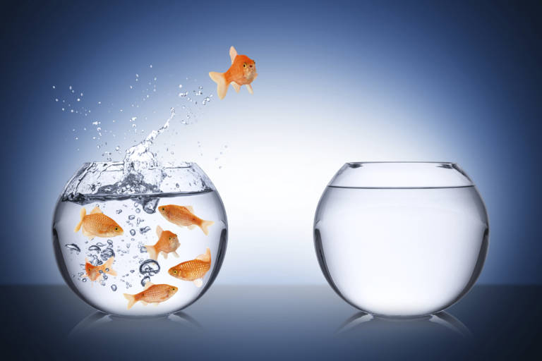 Columna :»Se Puede Cambiar, Depende de la Actitud.» por Pamela Jara Rocha