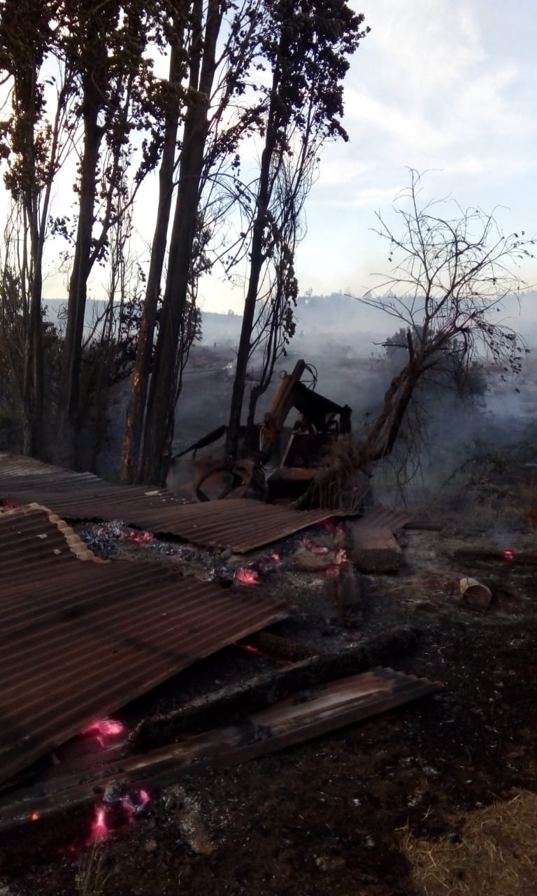 Queman Bodega y Maquinaria Forestal Agrícola en Fundo Edelweiss en Traiguén