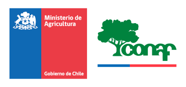 Más de 665 Hectáreas  de Vegetación Afectadas por Incendio Forestal en Traiguén Sector en Aniñir