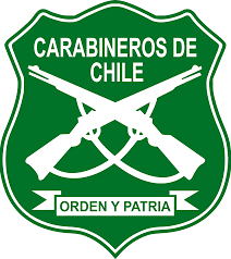 Violenta emboscada deja 3 carabineros fallecidos en Cañete
