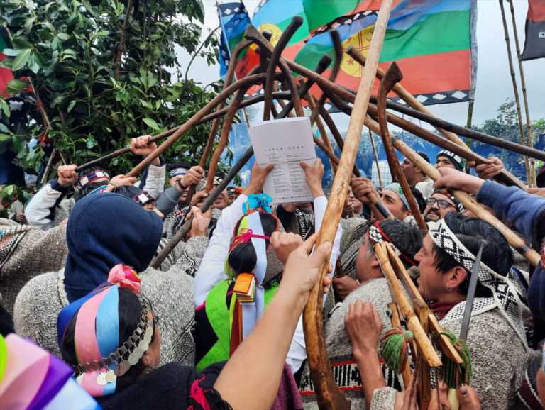 Comunidad Mapuche Amuley Lof Pichi Pantano  de Traiguén recibió 668 hectáreas adquiridas por CONADI