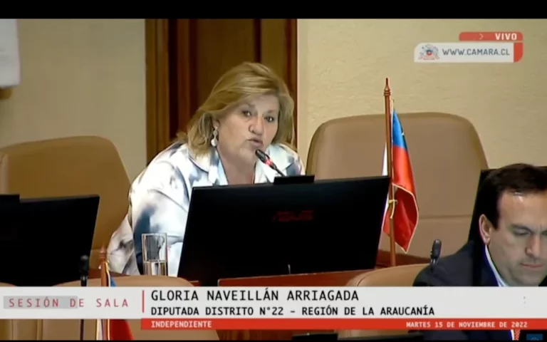 [Video] Diputada Naveillán :  «…Solicita al SII que Exima de Pago de Contribuciones a Personas con Propiedades Usurpadas… » Dirigiéndose a Ministro Marcel