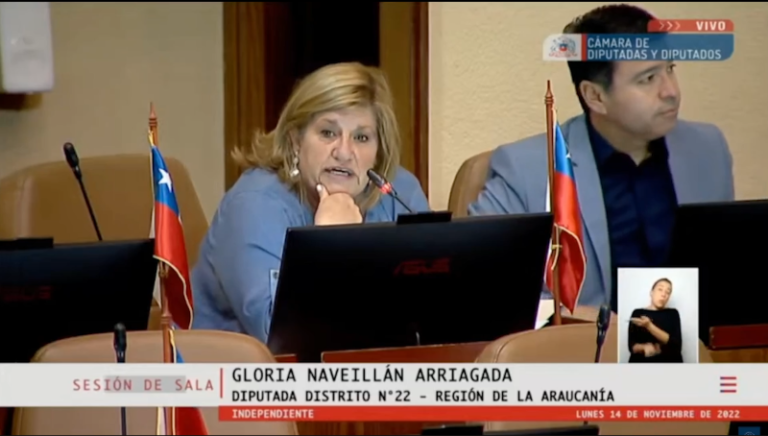 [Video] Intervención Diputada Gloria Naveillán en Cámara de Duputados : Presupuesto 2023