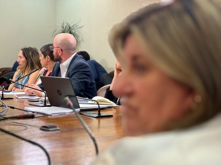 Diputada Gloria Naveillán y su Encuentro con el Ministro  de Desarrollo Social Giorgio Jackson