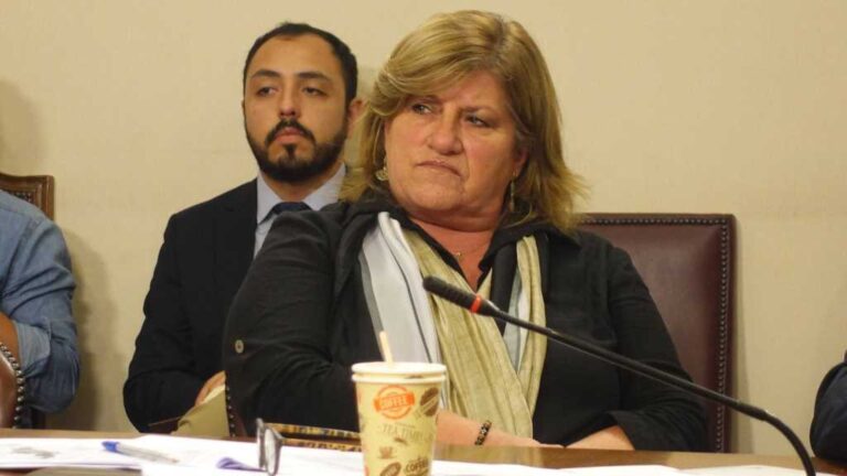 Diputada Naveillán :»Estamos Cansados… de los  Ininterrumpidos Actos Terroristas que se Realizan Periódicamente en la Zona»