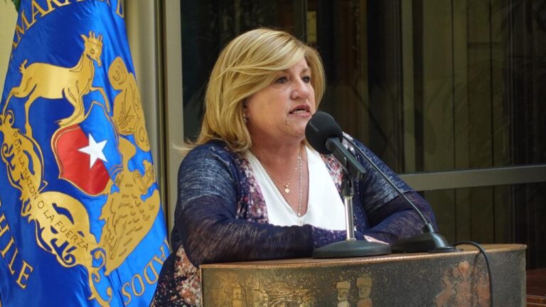 Diputada Naveillán :»Los incendios se han ido controlando, pero tenemos algunos focos complicados»