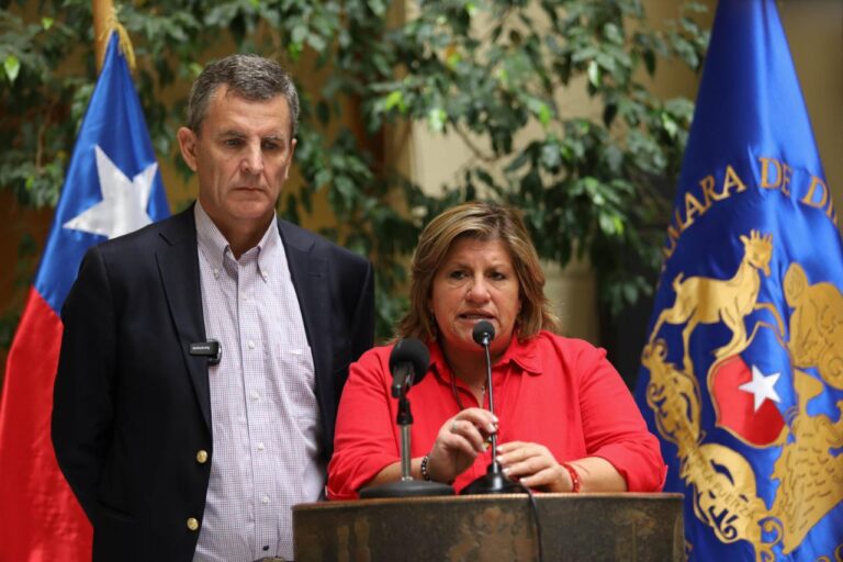 Diputada Naveillán: Duro revés para el gobierno y Marcel.