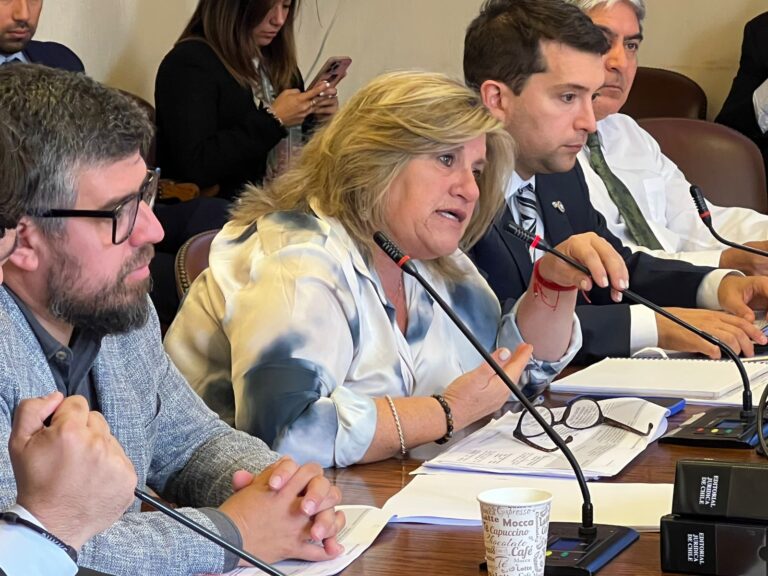 Diputada Naveillán : «Gobernador, deje fuera a las Naciones Unidas de esto»