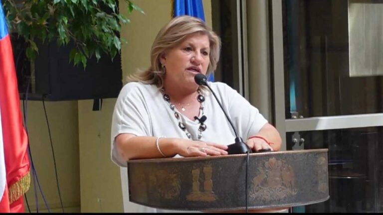 Diputada Naveillán :»Es una vergüenza que sigan ocurriendo atentados terroristas en La Araucanía y en plena ruta 5, la ruta principal de Chile.»