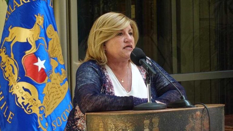 Diputada Naveillán y Medidas de Protección: “Es Prioritario Saber Cómo se Protege a las Víctimas del Terrorismo”