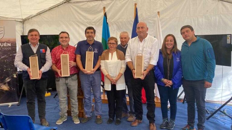 Traiguén busca transformarse en la capital del vino