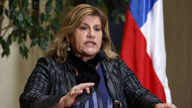 Diputada Naveillán Llama Al Gobierno A Tomar Medidas “Si No Quieren Darse Cuenta Que Acá Estamos En Una Guerra Van A Tener Que Responder”