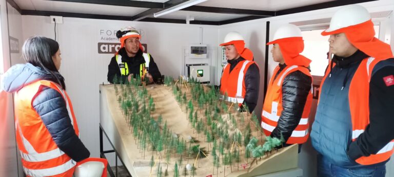 Pymes capacitan a 30 docentes de liceos técnico profesional en tecnología forestal