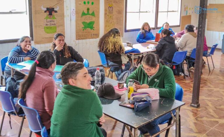 EN TRAIGUÉN SE EJECUTA CAPACITACIÓN A 16 PERSONAS A TRAVÉS DE CONAF Y EL PROGRAMA PROFOCAP