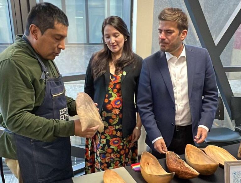 El FOSIS abre más de 26 mil cupos para emprender con una inversión de $25 mil millones