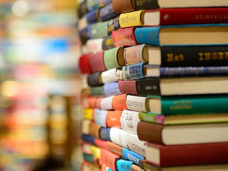 Universidad de Chile realiza donación de libros a centros educativos de Traiguén