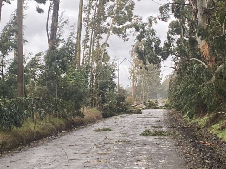 Voladura de Techos, Caída de Árboles, Cortes de Cables y Suspensión de Clases ha Afectado a Traiguén el Presente Temporal