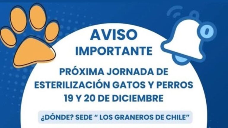 Esterilización de Gatos y Perros en la Sede ‘Los Graneros de Chile’: Cupos Disponibles para el 19 y 20 de Diciembre