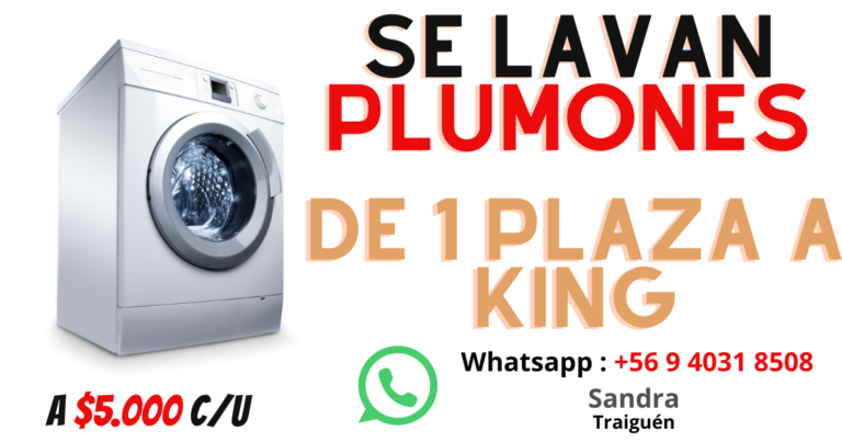 [PubliAviso] Se Lavan Plumones en Traiguén : 1 Plaza a King