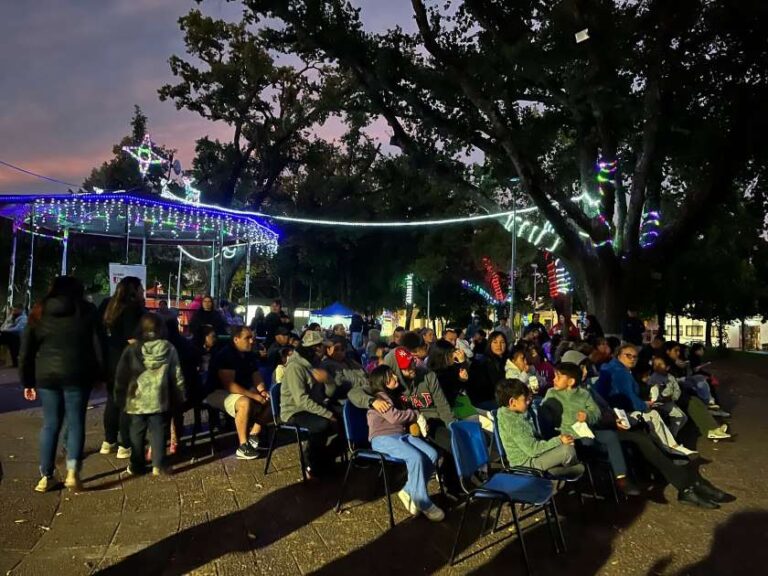 “Cine Bajo las Estrellas” en Traiguén: una noche de diversión para los más jóvenes