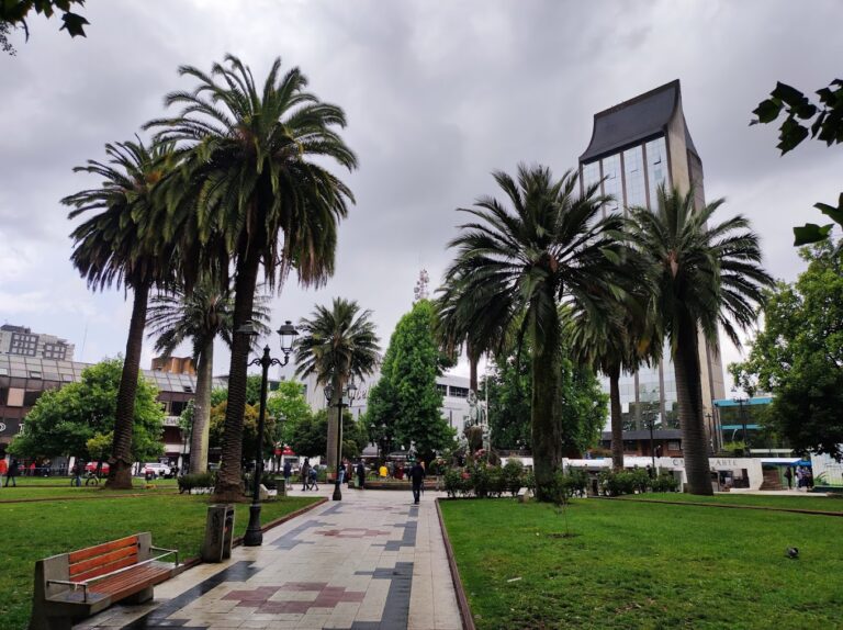 [Instagram] ¡Participa en el sorteo de 2 pasajes ida y vuelta en bus a Temuco!