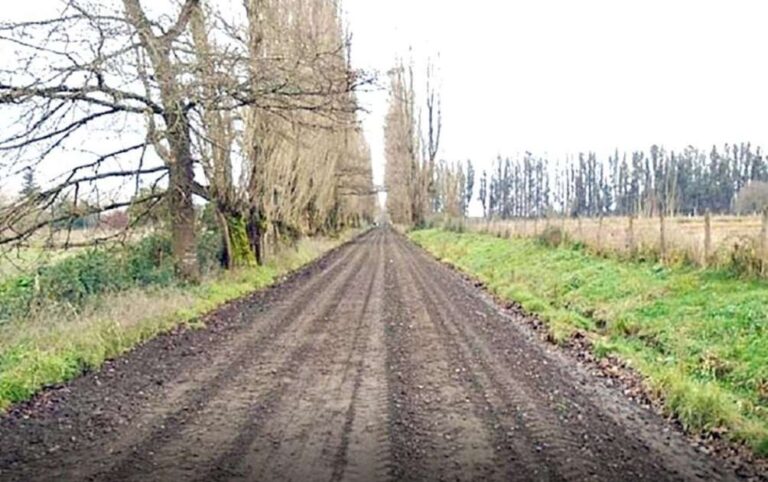Gran noticia para Traiguén: Pavimentación del camino Chufquén – Quino avanza con una inversión de 11 mil millones
