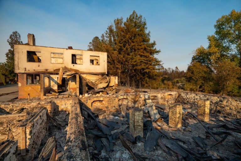 Desafío Levantemos Chile busca reconstruir liceo y viviendas afectadas por los incendios