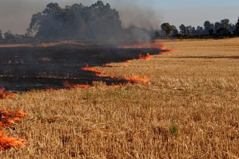 Autorizan quemas agrícolas para Traiguén y otras comunas de La Araucanía
