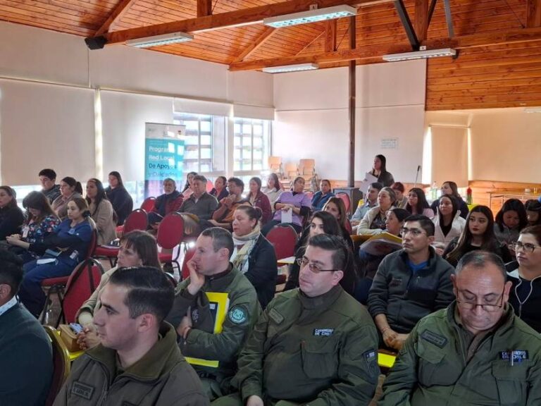 Juzgado de Letras y Garantía de Traiguén realiza jornada de capacitación sobre Ley 21.430