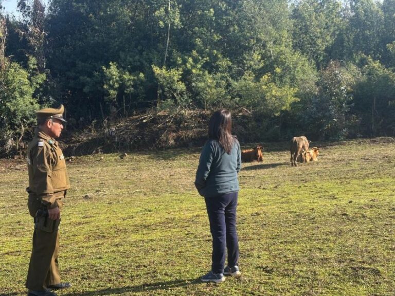 Carabineros Realizan Campaña Preventiva Contra el Abigeato en Sectores Rurales de Traiguén